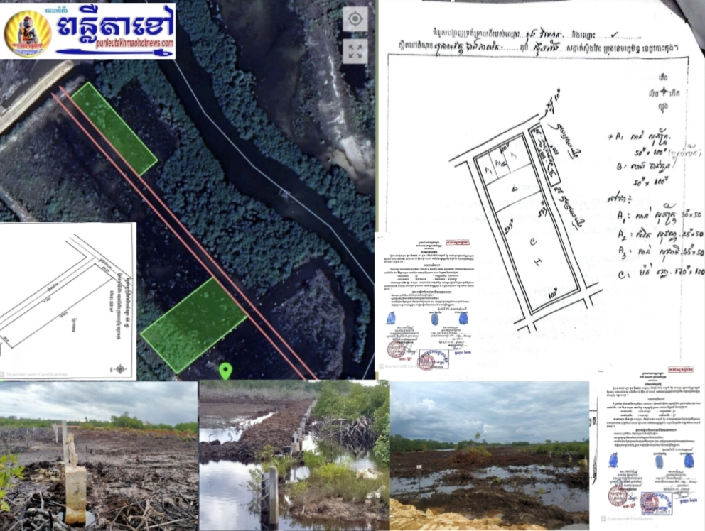 លោក ម៉ក់ រដ្ឋា ស្នើសុំដល់លោក អាយ សុភីរិទ្ធិ និង លោក ភូថង សេរីវឌ្ឍី សូមជួយចុះពិនិត្យទីតាំងដីដែលស្ថិតនៅក្រោយវត្តបាងកាយ៉ាកត្រូវបានជនខិលខូចកាប់ទន្ទ្រានព្រៃកោងកាងជាប់មាត់ព្រែក និងបោះបង្គោលរំលោភយកផ្លូវរបស់រដ្ឋ..